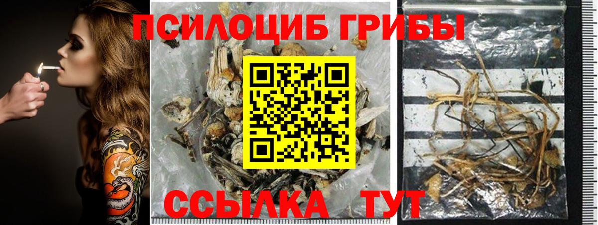 Галлюциногенные грибы Magic Shrooms  Галлюциногенные грибы прущие грибы  наркошоп  Кировск  Вход с VPN 