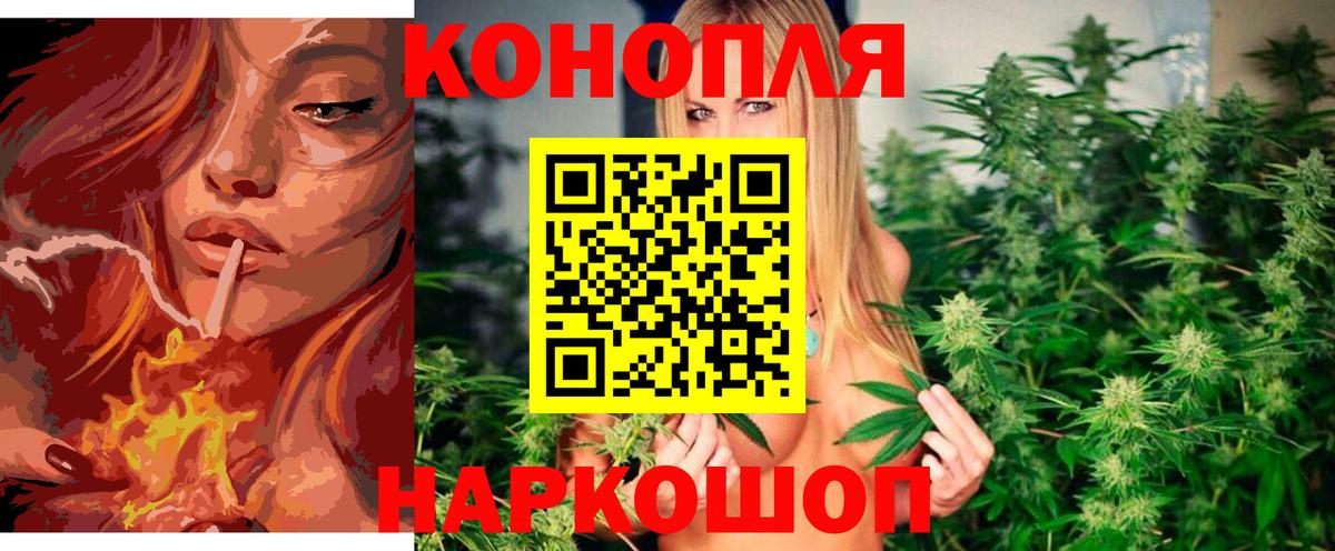 Шишки марихуана ГИДРОПОН Кировск